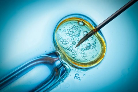 http://chengdu.qqkaixin.com/post/199.html|成都供卵助孕